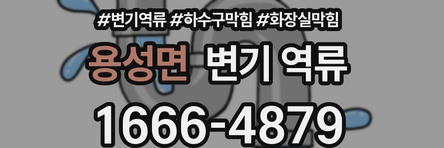 용성면 변기 역류