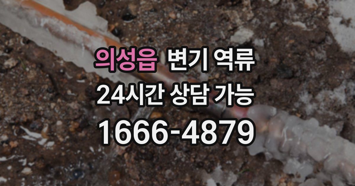 의성읍 변기 역류