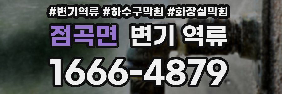 점곡면 변기 역류