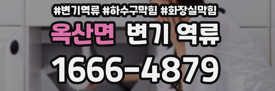 옥산면 변기 역류