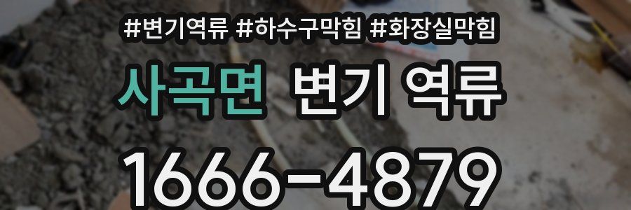 사곡면 변기 역류