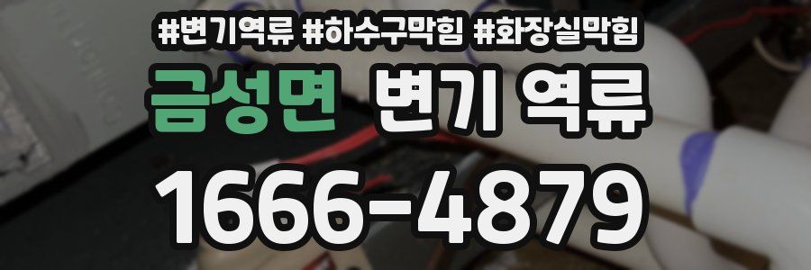 금성면 변기 역류