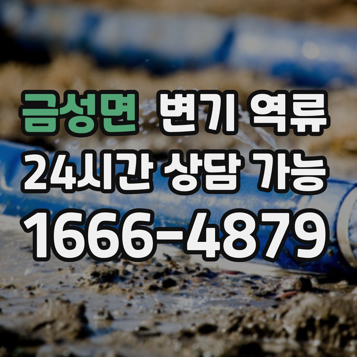 금성면 변기 역류