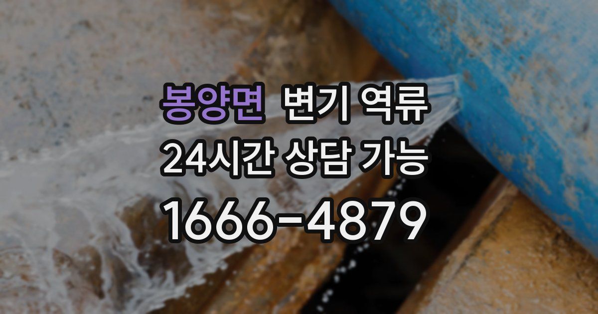 봉양면 변기 역류