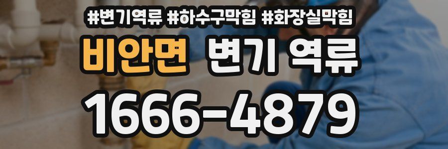 비안면 변기 역류