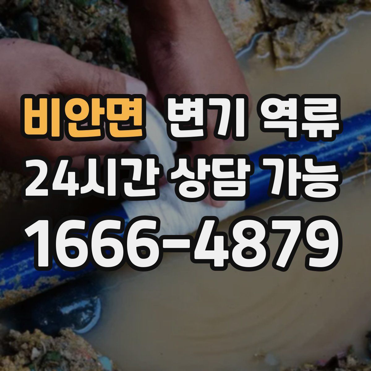 비안면 변기 역류