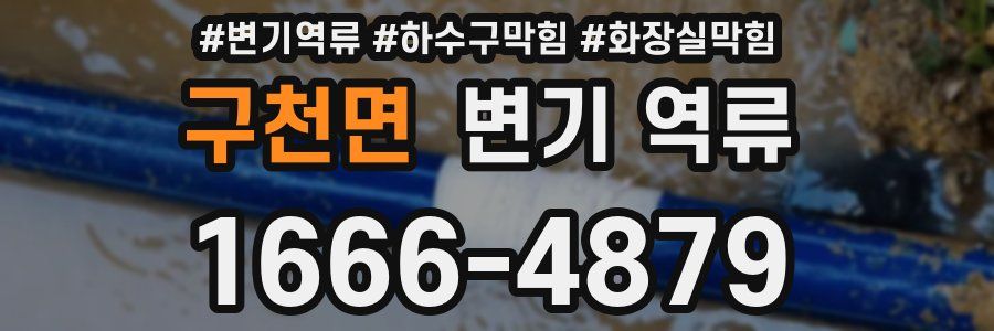 구천면 변기 역류