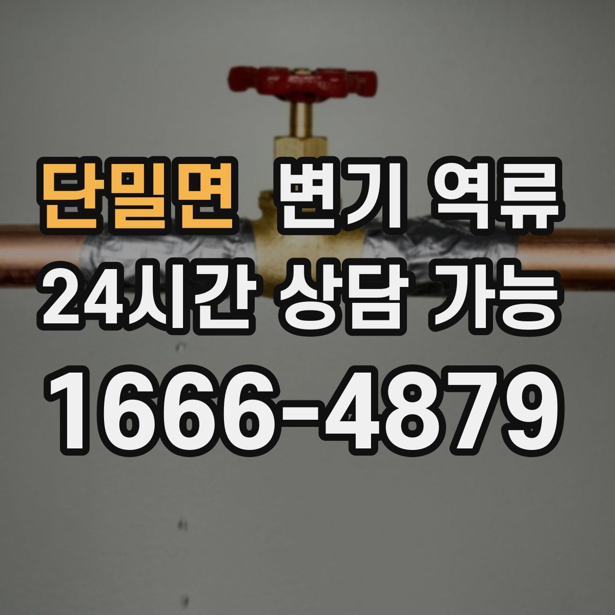 단밀면 변기 역류