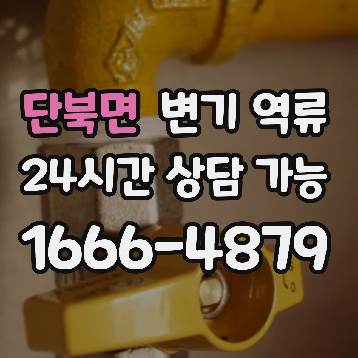 단북면 변기 역류