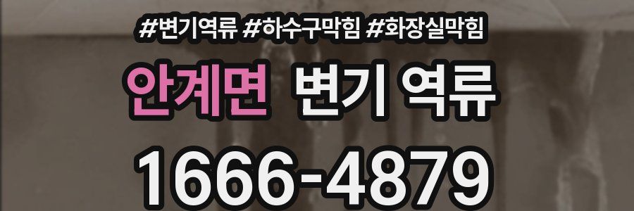 안계면 변기 역류