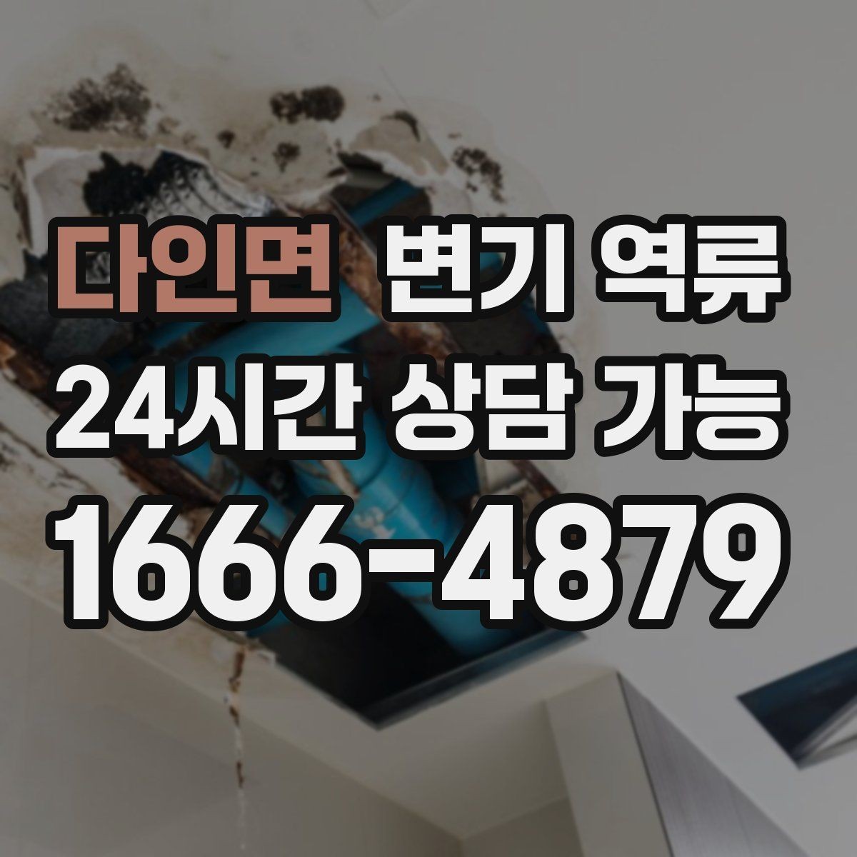 다인면 변기 역류 같은 라인 여러 세대가 겪으면 어디를 봐야 할까
