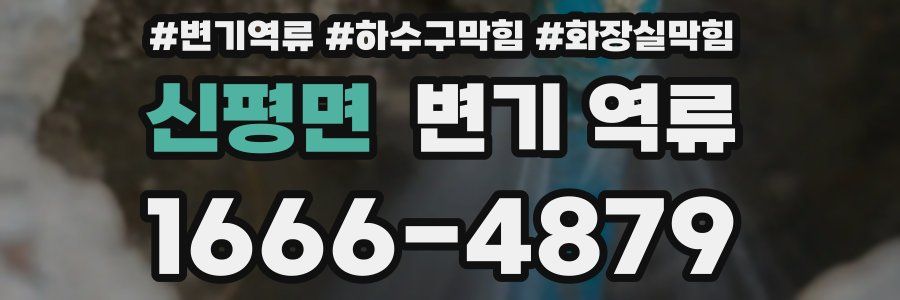 신평면 변기 역류
