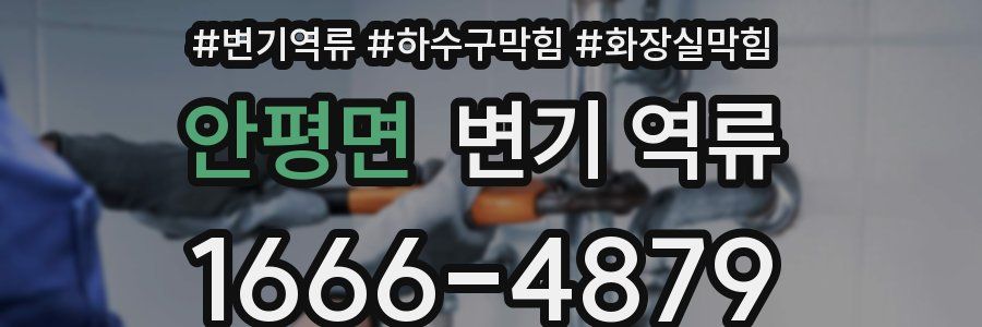 안평면 변기 역류