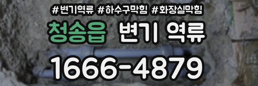 청송읍 변기 역류