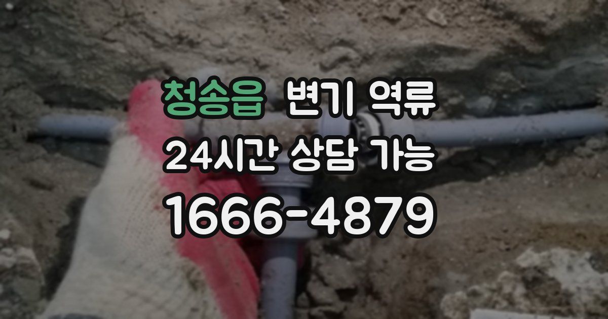 청송읍 변기 역류