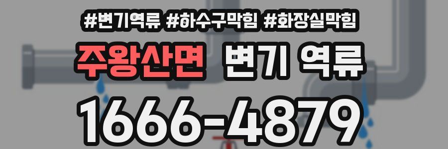 주왕산면 변기 역류