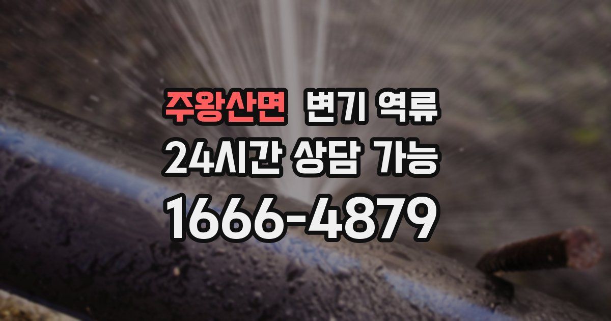 주왕산면 변기 역류