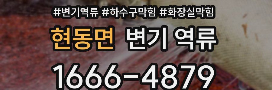 현동면 변기 역류