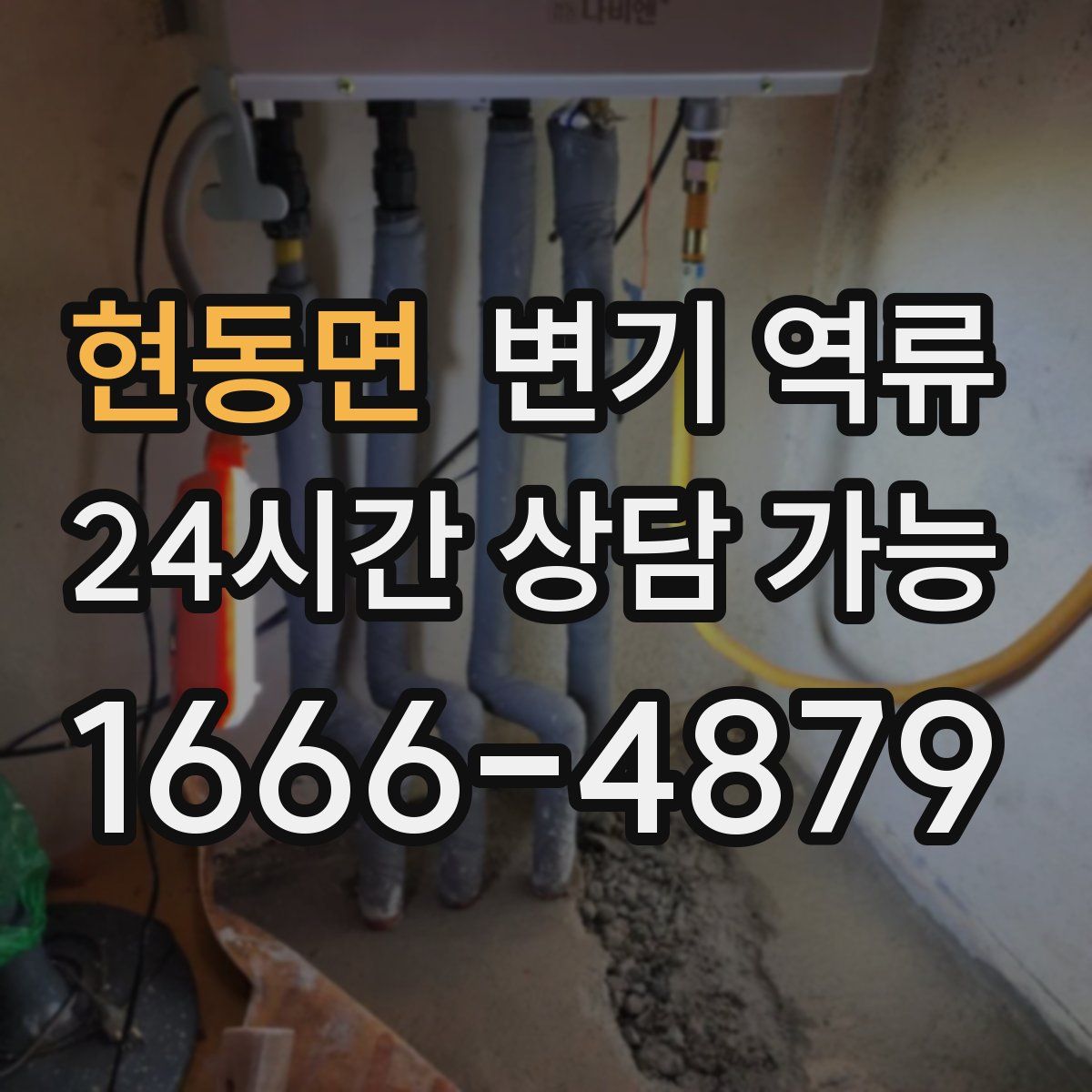 현동면 변기 역류