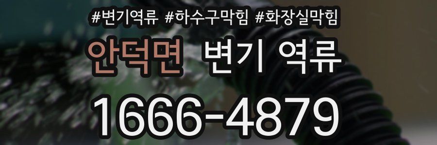 안덕면 변기 역류