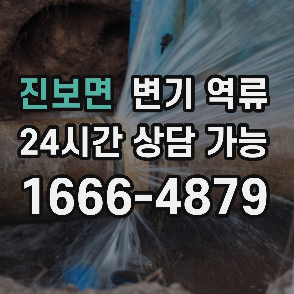 진보면 변기 역류