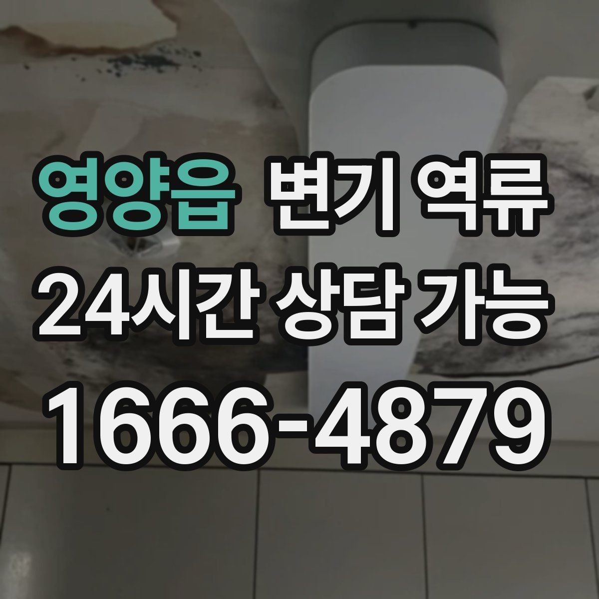 영양읍 변기 역류 사진·영상이 있으면 상담이 빨라지는 이유
