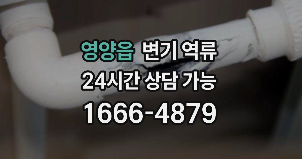 영양읍 변기 역류