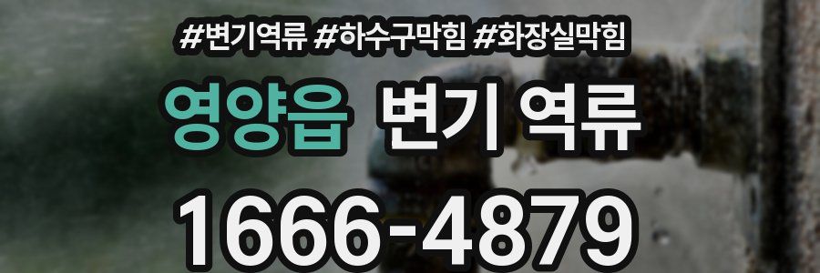 영양읍 변기 역류