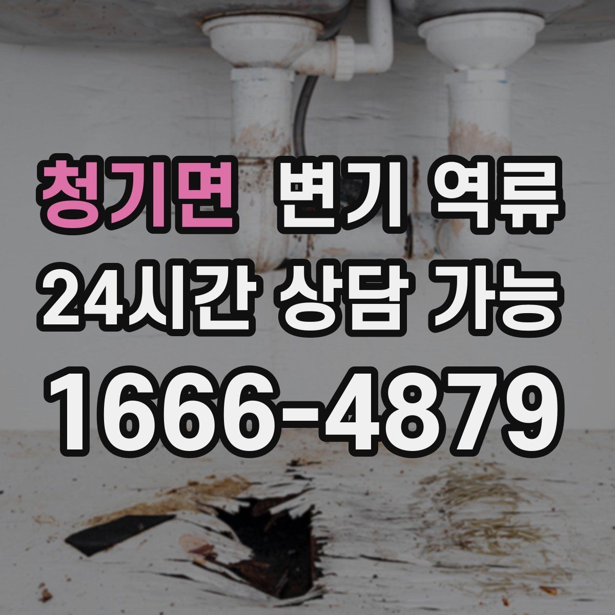 청기면 변기 역류 아이·반려동물 접근을 막아야 하는 이유
