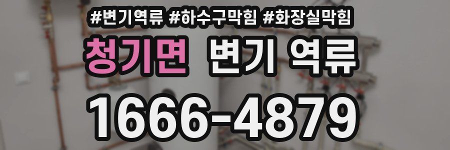 청기면 변기 역류