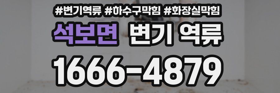 석보면 변기 역류