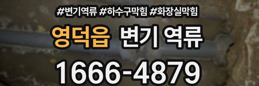 영덕읍 변기 역류