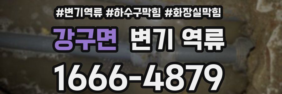 강구면 변기 역류