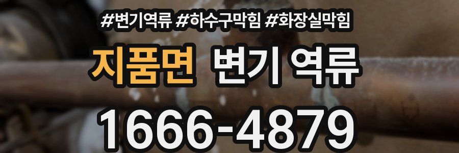 지품면 변기 역류