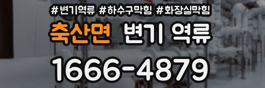 축산면 변기 역류