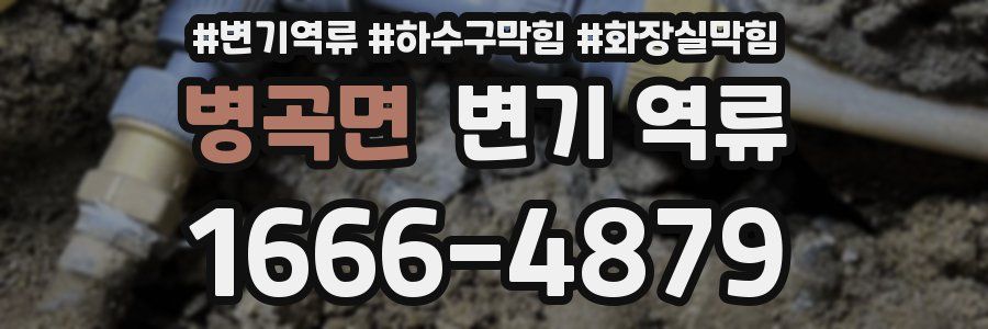 병곡면 변기 역류