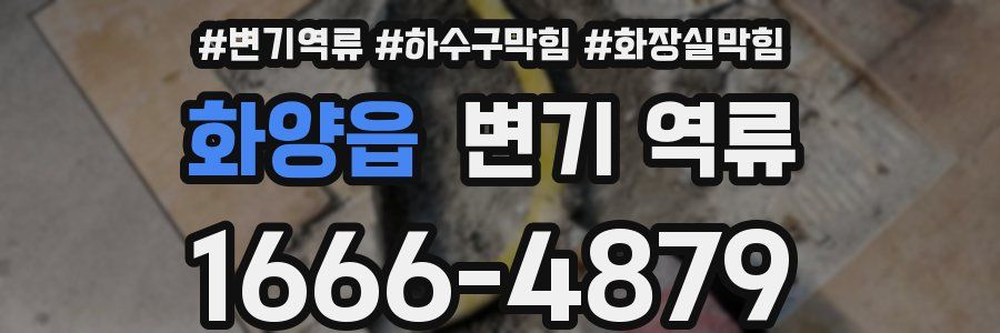 화양읍 변기 역류