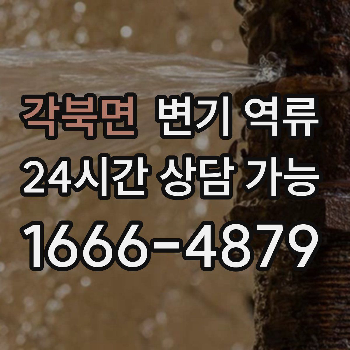 각북면 변기 역류