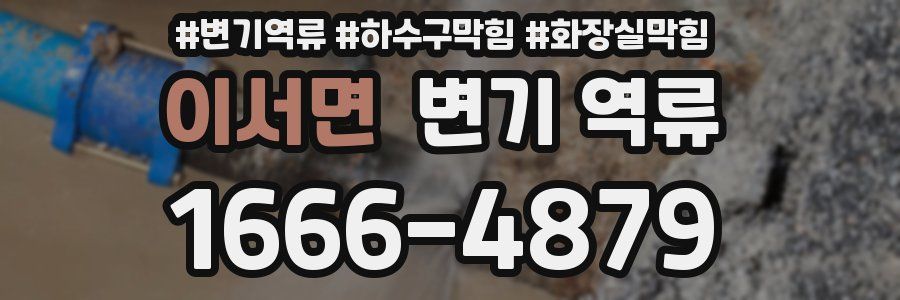 이서면 변기 역류