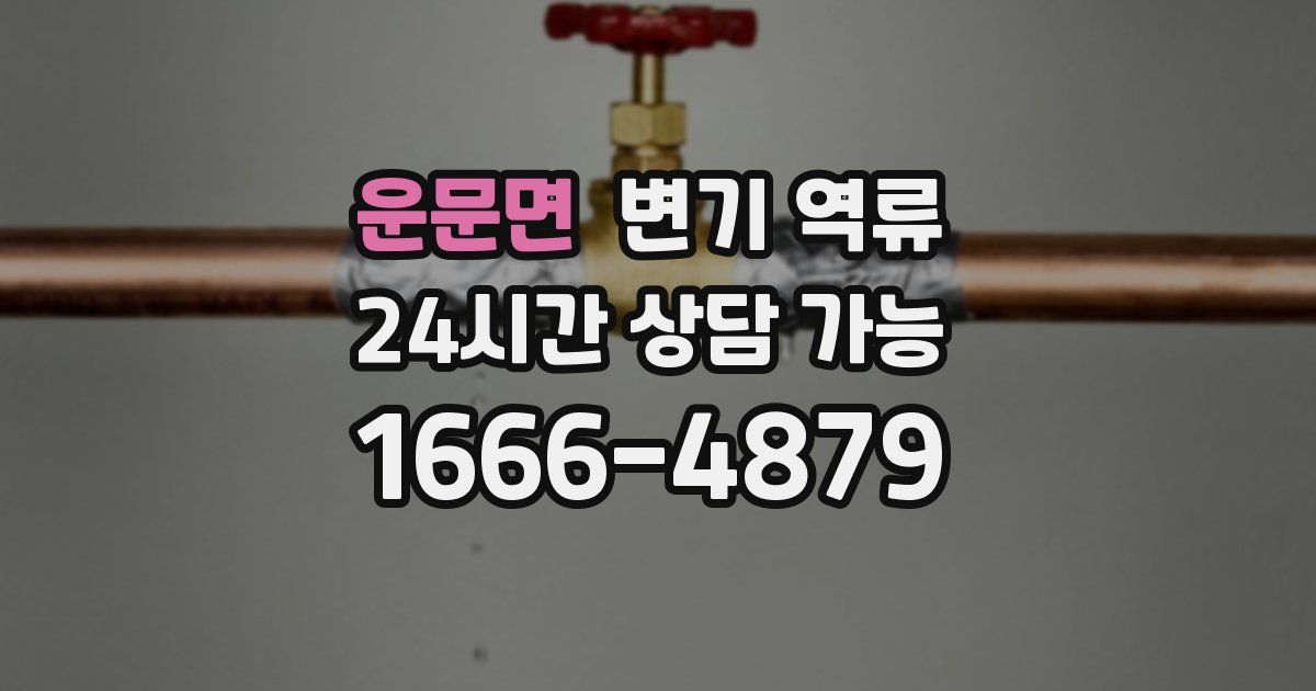 운문면 변기 역류