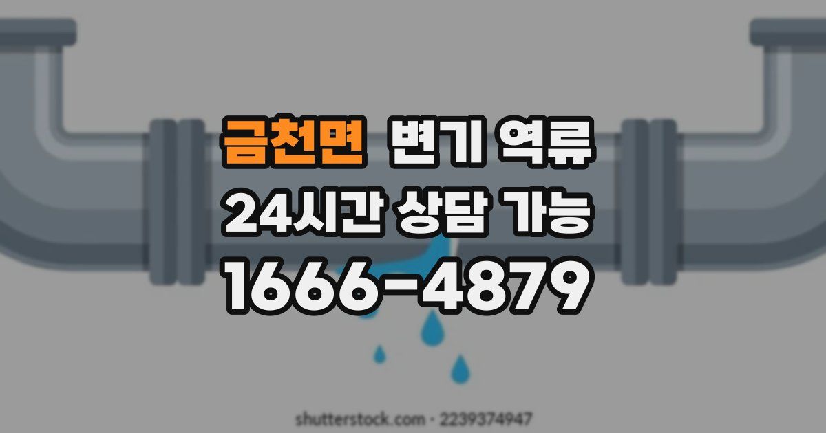 금천면 변기 역류