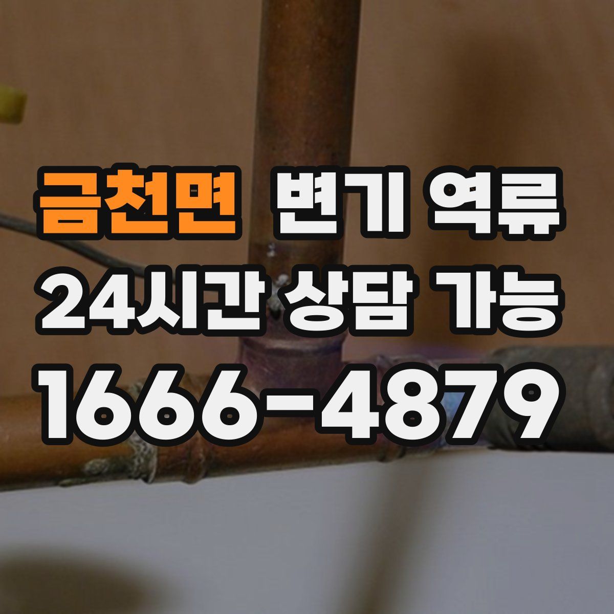 금천면 변기 역류