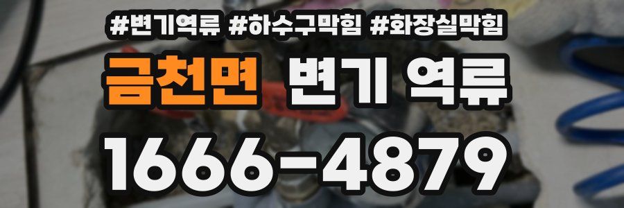 금천면 변기 역류