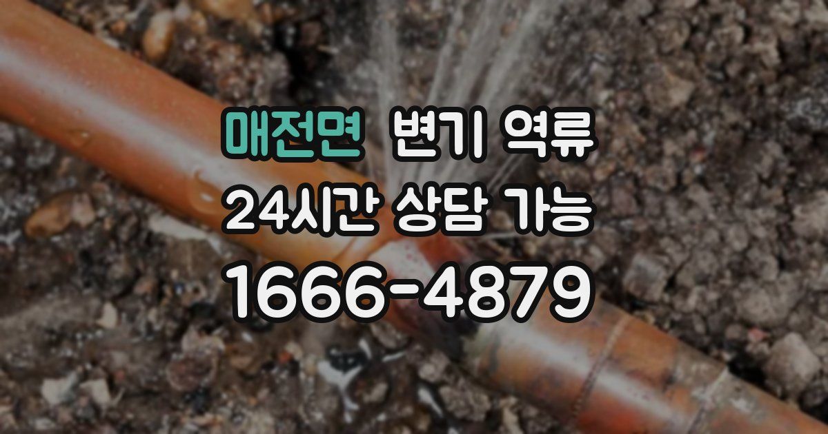 매전면 변기 역류