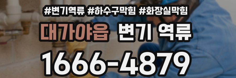 대가야읍 변기 역류