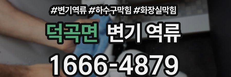 덕곡면 변기 역류