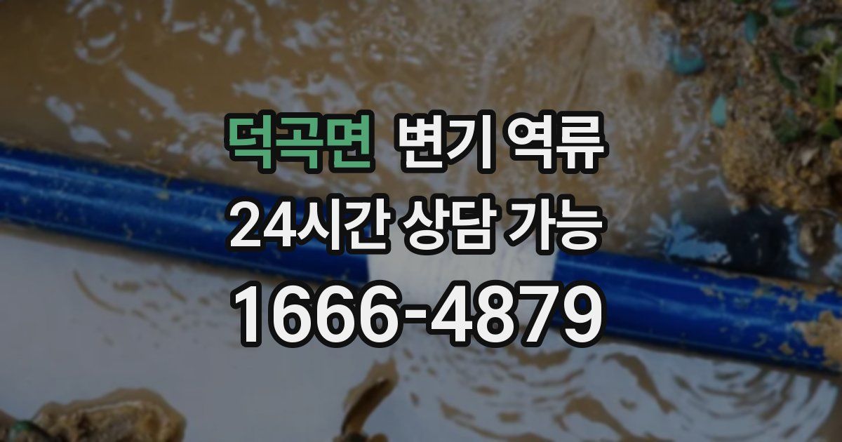 덕곡면 변기 역류