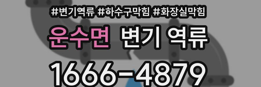 운수면 변기 역류