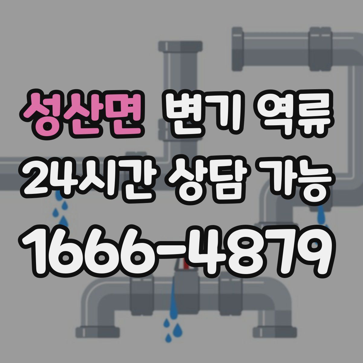 성산면 변기 역류