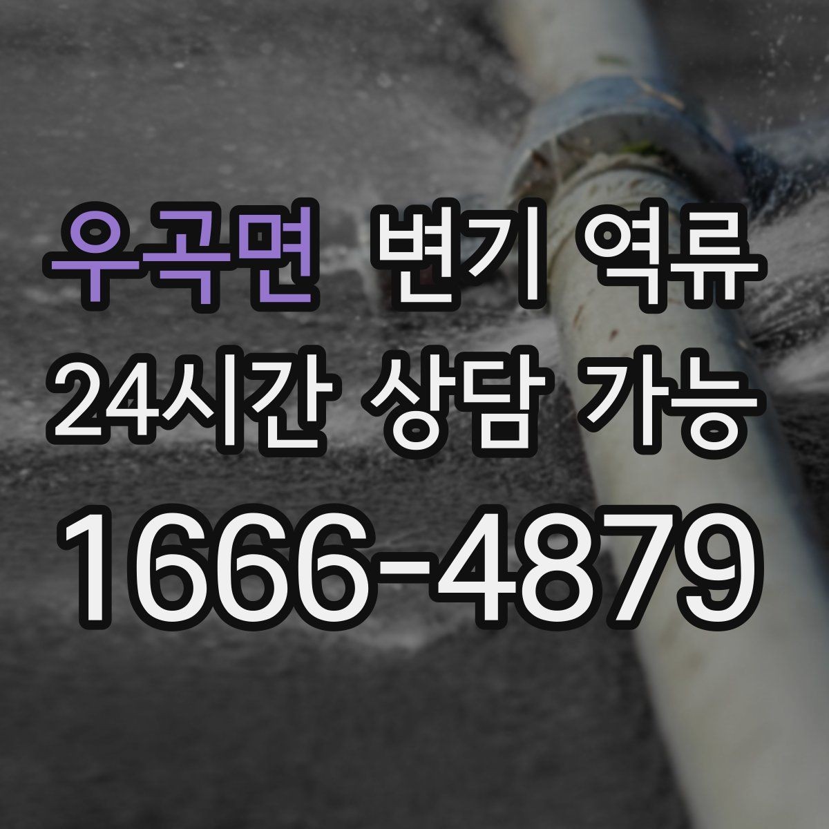 우곡면 변기 역류 우수관과 오수관 문제가 섞일 수 있을까